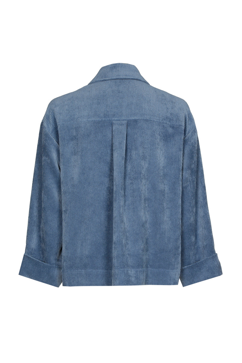 Blauw bloesjasje in velours